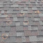 Roofing Repair Rocky River